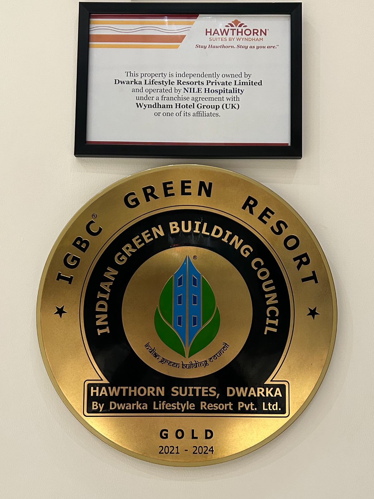 Award & Certificate 10